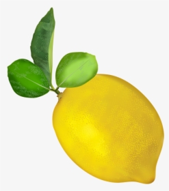 Lemon Transparent Image, HD Png Download, Free Download
