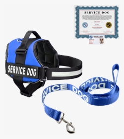 Service Dog Png, Transparent Png, Free Download