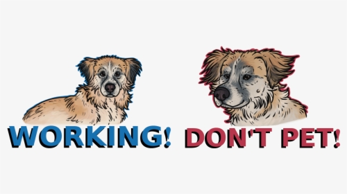 Service Dog Etiquette Badges, HD Png Download, Free Download