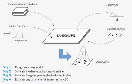 Quetzal Scheme, HD Png Download, Free Download