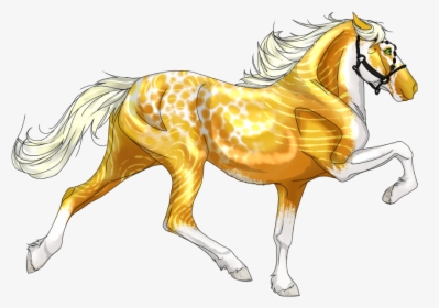 Picture, HD Png Download, Free Download