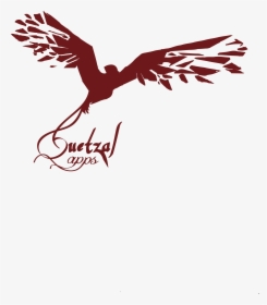 Quetzal Png, Transparent Png, Free Download