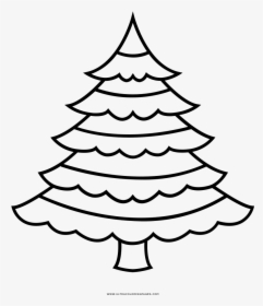 Pinos Png, Transparent Png, Free Download