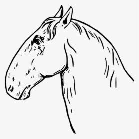 Horse Head Clip Art Vectors Free Vector Image, HD Png Download, Free Download