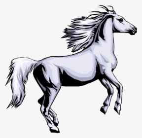 Vector Illustration Of Quadruped Equine Equestrian, HD Png Download, Free Download
