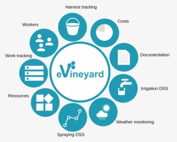 Evineyard Vineyard Management Software, HD Png Download, Free Download