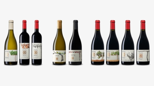 Vineyard Png, Transparent Png, Free Download