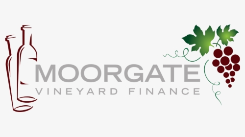Vineyard Png, Transparent Png, Free Download