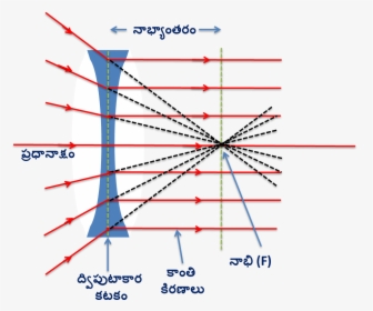 Rays Pass Through Focul Point, HD Png Download, Free Download