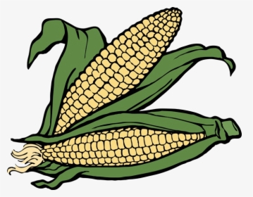 Ear Autumn Two Of Corn Clipart Fall Image And Transparent, HD Png Download, Free Download