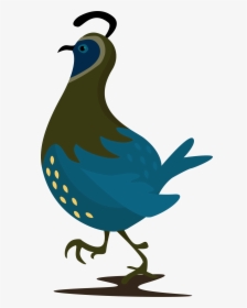 Quail Clipart Quail Family, HD Png Download, Free Download
