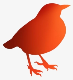 Transparent Quail Bird Clipart, Quail Bird Png Image, Png Download, Free Download