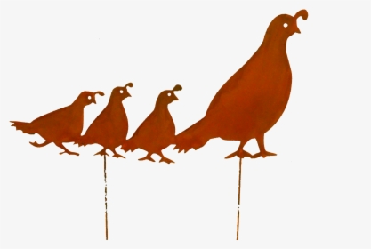 Quail Family-lrg Larger Image, HD Png Download, Free Download