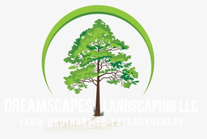 Vector Landscaping Landscape Design, HD Png Download, Free Download