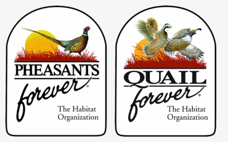 Pheasants Forever Quail Forever , Png Download, Transparent Png, Free Download