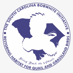 South Carolina Bobwhite Initiative Home Page, HD Png Download, Free Download