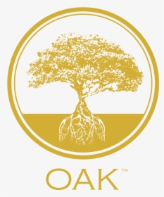 Oak Ka Ped Tm-01, HD Png Download, Free Download