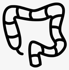 Colon, HD Png Download, Free Download