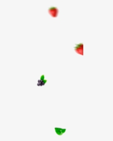 Acai Png, Transparent Png, Free Download