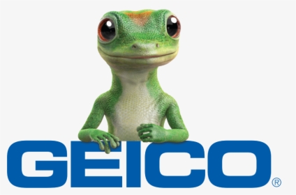Geico Insurance , Png Download, Transparent Png, Free Download