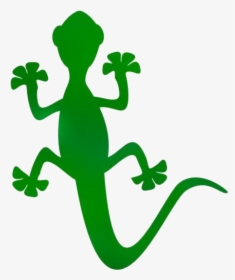 Geico Png Transparent Images, Png Download, Free Download