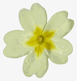 Blurred White Flower Svg Clip Arts, HD Png Download, Free Download