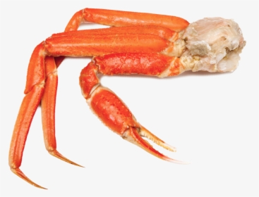 Crabs Png, Transparent Png, Free Download