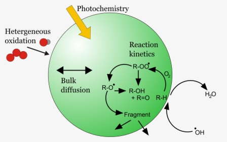 Photochemical Reaction In The Atmosphere , Png Download, Transparent Png, Free Download