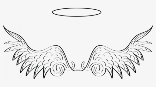 Drawings Of Dragon Wings Pencil Angel Drawing, HD Png Download, Free Download