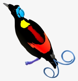 Clip Art Raggiana Bird Of Paradise, HD Png Download, Free Download
