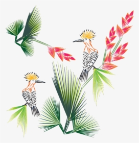 Bird Of Paradise Png, Transparent Png, Free Download