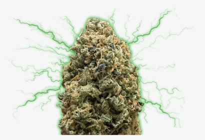 Monster Bruce Banner, HD Png Download, Free Download