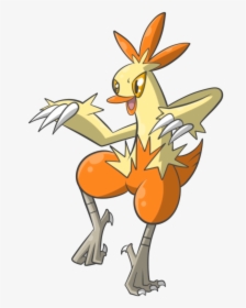 Download View Combusken ,, HD Png Download, Free Download