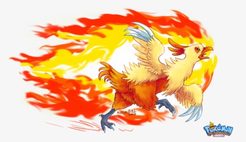 Combusken Png, Transparent Png, Free Download