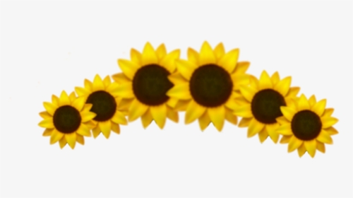 #emoji #sunflower #crown #yellow #aesthetic #xd #idk, HD Png Download, Free Download