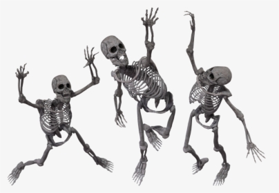 Halloween Skeleton Png, Transparent Png, Free Download