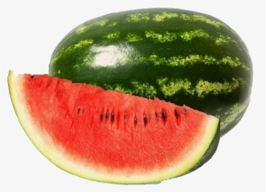 Tropical Watermelon Png Image Download, Transparent Png, Free Download
