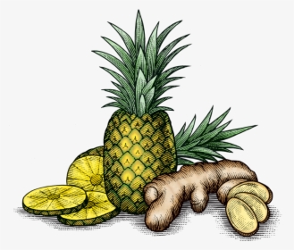 Pinagingerroot, HD Png Download, Free Download