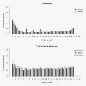 Images/stats - Tcperreadpos, HD Png Download, Free Download