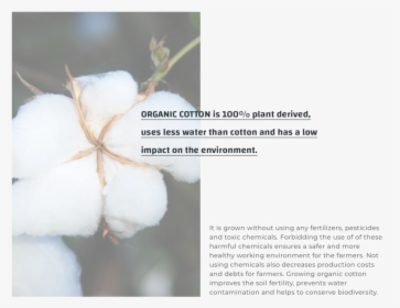 Organic Cotton New, HD Png Download, Free Download
