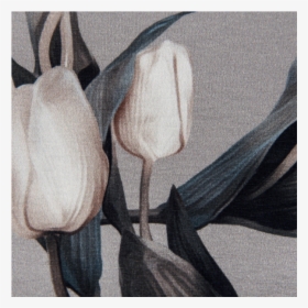 Cotton Jersey Digital Printed Tulips In Grey, HD Png Download, Free Download