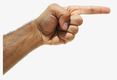 Fingers Png Image Download, Transparent Png, Free Download