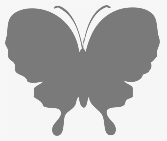 Short-tailed Blue, HD Png Download, Free Download