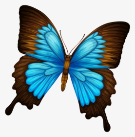 Butterfly .png, Transparent Png, Free Download