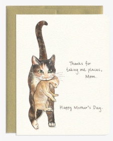 Adorable Cat & Kitten Mother"s Day Greeting Card, HD Png Download, Free Download