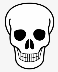 Collection Of Free Bones Drawing Skull Download On - Skull Clip Art, HD Png Download, Free Download