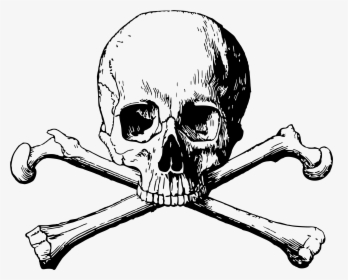Clip Art Skull And Cross Bones Png - Transparent Background Skull Png, Png Download, Free Download
