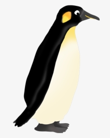 Penguin Clipart Emperor Penguin - Penguin Clipart, HD Png Download, Free Download