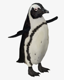 Adã©lie Penguin, HD Png Download, Free Download