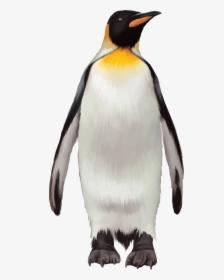 Penguin Transparent Background Png - Penguin Transparent Background, Png Download, Free Download